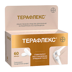 Терафлекс капсулы N60