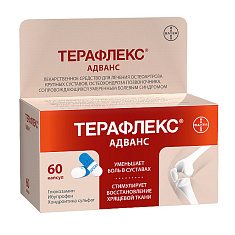 Терафлекс Адванс капсулы N60