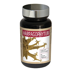 Nutri Expert Гарпагофитум капсулы N60