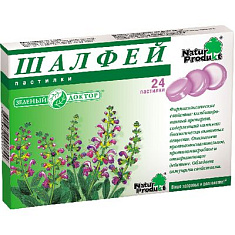 Шалфей пастилки N24
