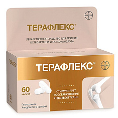 Терафлекс капсулы 500мг+400мг №60 Макиз-Фарма